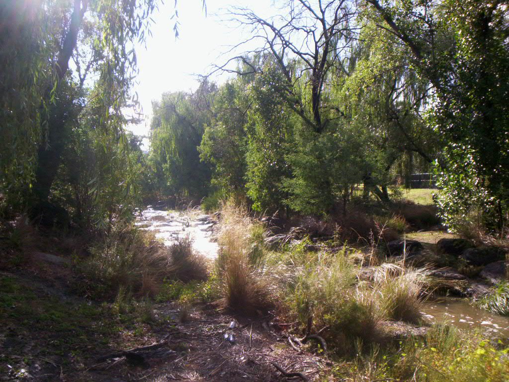 Stage 8